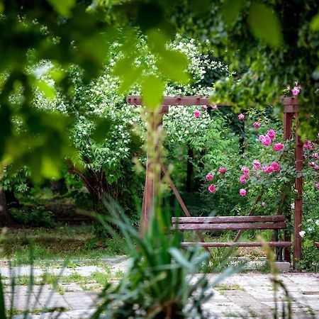 Green Apartment - Top Location, Near City Center! Sofia Ngoại thất bức ảnh