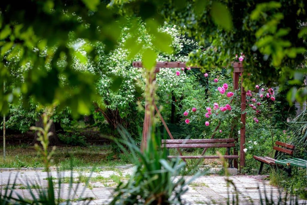 Green Apartment - Top Location, Near City Center! Sofia Ngoại thất bức ảnh